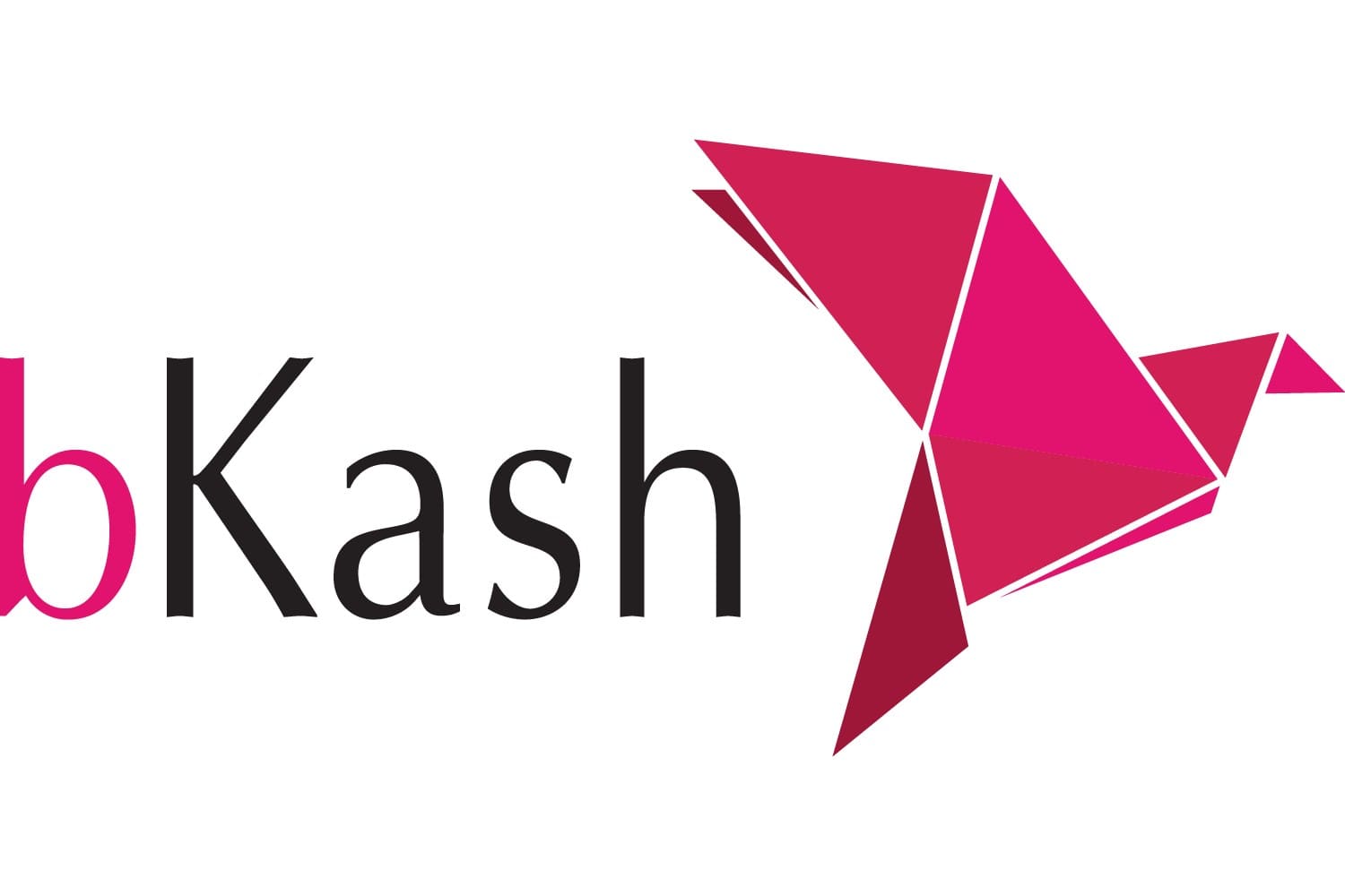 Bkash Icon